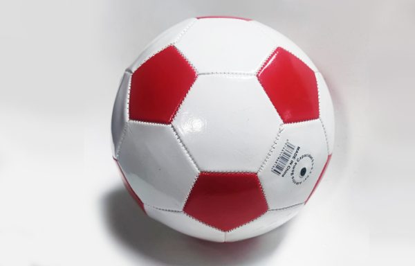 2- BALON DE FUTBOL ECO # 5 COSTURAS